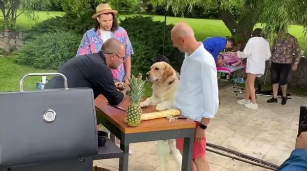 cainele vegetarian al lui andrei rosu faza tare cu micul in fata lui smiley ce dieta are patrupedul celebru