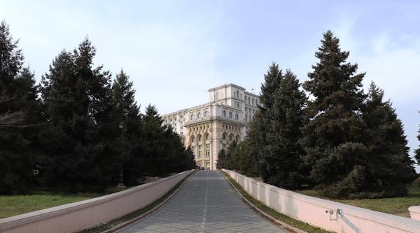 proiectul aur de alegere a primarilor in 2 tururi este dezbatut si sustinut de aur si usr