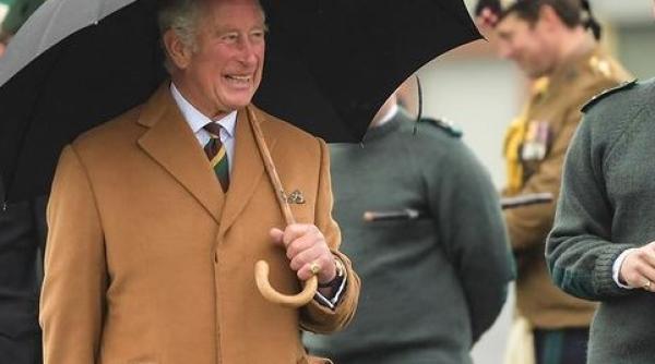 un roman fiul printului charles apel in fata palatului buckingham am acte adn doveditoare tata ajutor