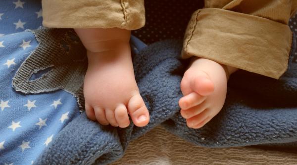 o fetita de nici 2 ani a fost gasita in stare de putrefactie intr un apartament din cernavoda