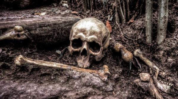 prima victima a bolii care a cauzat ciuma bubonica a trait acum 5 300 de ani