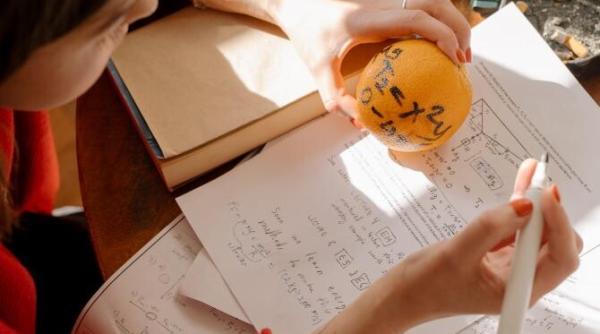 sorin cimpeanu lucrarile examenelor vor fi corectate online peste un an