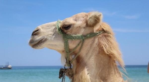 va plangeti degeaba romania noua destinatie turistica de top pentru europeni