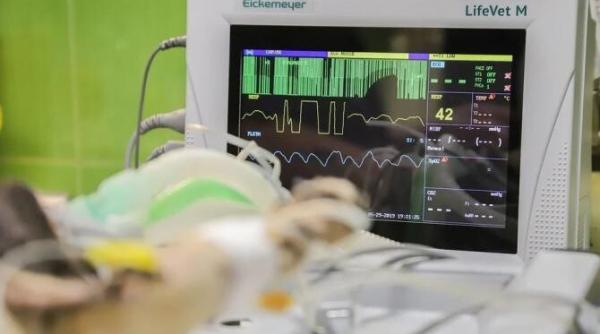 5000 de locuri la facultate in usamv peste 2300 sunt la buget date complete