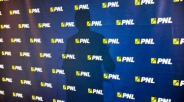 alegeri in pnl sector 4 pavel popescu castiga