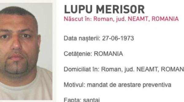 interlopul merisor dat in urmarire generala a fost condamnat pentru ca a injurat un magistrat in sala de judecata