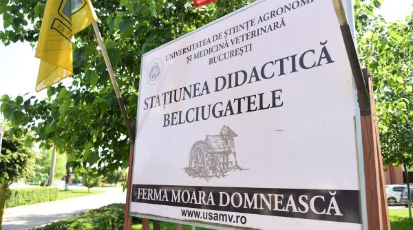 statiuni didactice usamv rector avem o ferma mixta cu animale pomicultura cultura mare luciu de apa