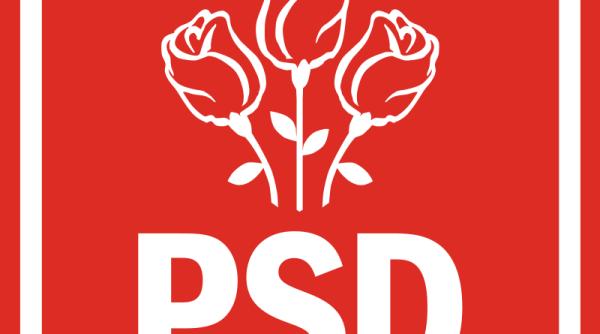 psd cere anchetarea autodenunturilor pnl privind politizarea companiilor de stat si a inspectoratelor scolare