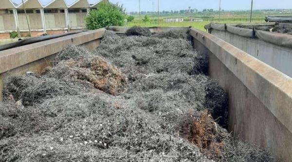 trei autocamioane incarcate cu peste 64 de tone deseuri din pilitura de fier oprite la vama giurgiu