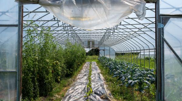 milioane de euro pentru dezvoltarea fermelor din romania roxana minzatu sunt finantari generoase ce se poate face cu banii