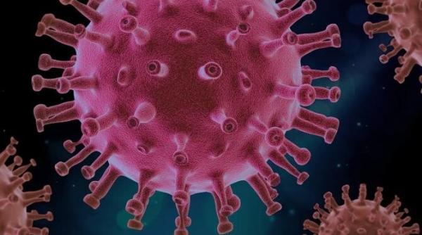 varianta delta este covid 19 pe steroizi spune un expert in sanatate cazurile cresc alarmant in aproape jumatate din statele sua