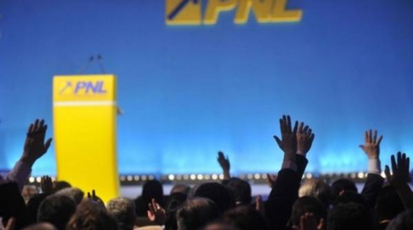 chirieac sfat pentru liberali aflati in plina lupta pentru putere congresul pnl trebuie devansat romania e facuta pur si simplu praf