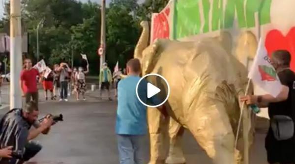 protest la cotroceni pentru rosia montana numar mic de oameni prezenti video