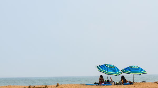 bestia africana loveste romania meteorologii anunta 40 de grade la umbra