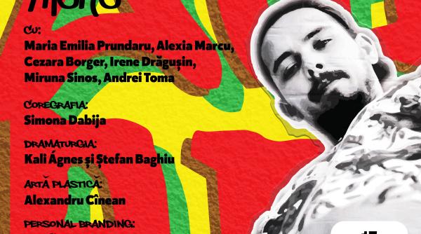 ce inseamna libertatea pentru tinerii de azi proiectul european liberty aici la sibiu