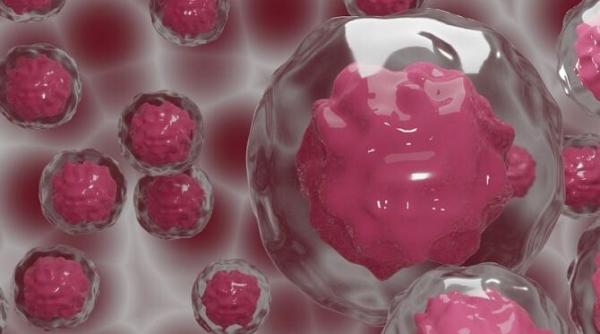 peste 81 000 de donatori de celule stem in romania  1 din 3 pacienti nu are donator compatibil