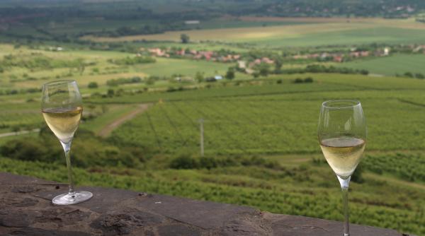 transilvania la inaltime prin vinurile reprezentative