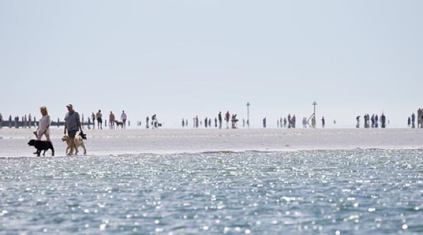 anm cod galben si cod portocaliu de canicula harta temperaturilor resimtite orasul in care sunt 41 e grade la umbra