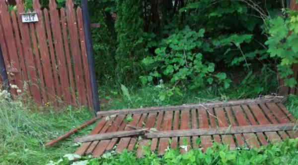 calugar atacat si muscat de mai multe ori de urs  a ajuns de urgenta la spital