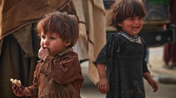 creste nivelul de foamete in lume  zonele cele mai afectate  ce mai poate fi facut