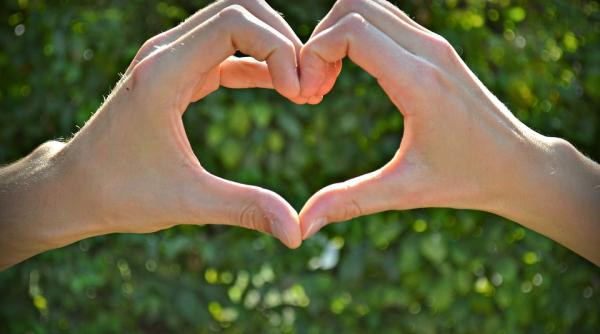 o tanara din maramures i a dat 24 000 de lei unei tamaduitoare pentru a si intoarce fostul iubit ce s a intamplat apoi