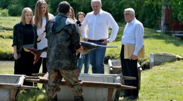 prima reactie din psd dupa eliberarea lui liviu dragnea