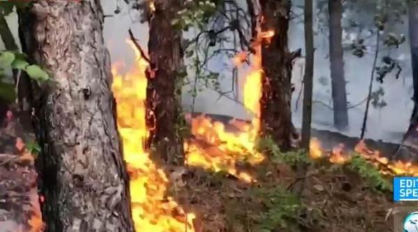 incendiu in parcul national portile de fier intervine un elicopter al mai
