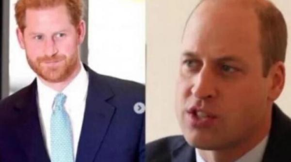 de ce harry si william se vor uri toata viata motivele dezvaluite acum