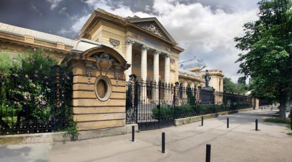 admitere umf carol davila 25 iulie 2021 numar record de candidati