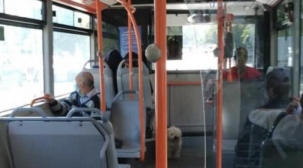 petrariu stb a spus totul de fata cu nicusor dan vii si dublezi tariful ca sa ce de ce nu sunt masini curate aer conditionat si de ce se asteapta mult in statii