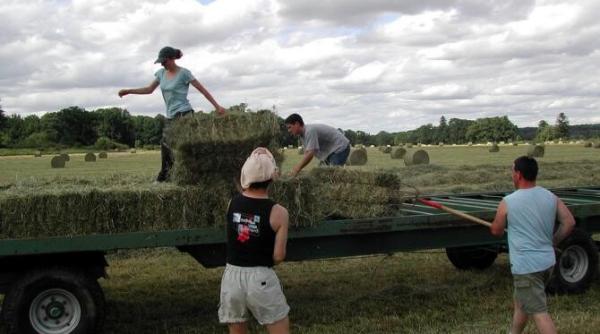 vacanta la munca copiii care nu au iesit niciodata din sat 8 din 10 tineri din rural muncesc vara in gospodarie sau in afara ei
