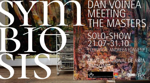 expozitie faimoasa la timisoara symbiosis dan voinea meeting the masters