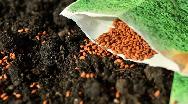 ce inseamna simbolul f1 de pe pachetele de seminte pentru plantat