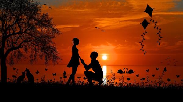 cerere in casatorie cu incatusari si perchezitii corporale la buzau video