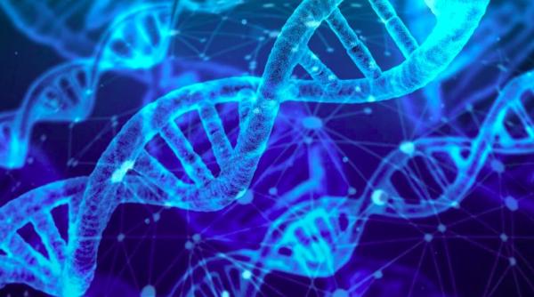 descoperirea momentului din medicina si ai ar putea aduce noi tratamente ce dura sase luni dureaza acum doua minute