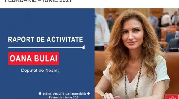oana bulai psd neamt raport dupa prima sesiune parlamentara