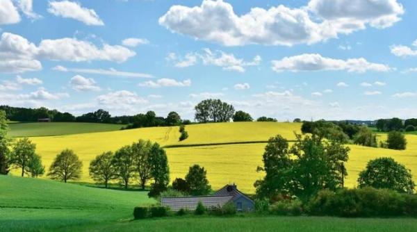 anm  prognoza meteo pentru urmatoarele patru saptamani