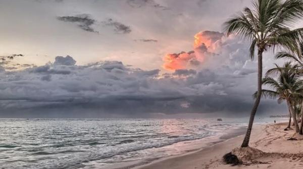 cofondatorul google si ar fi cumparat o insula pentru a evada din pandemie