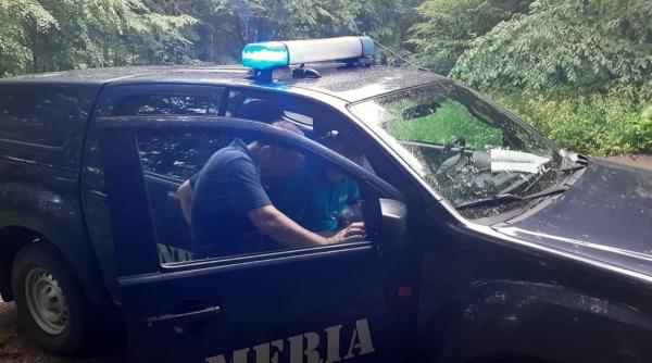 13 turisti salvati de jandarmeria montana dupa ce s au intalnit cu ursul pe jepii mari