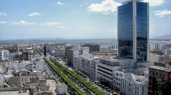 acuzatii de lovitura de stat in tunisia presedintele l a demis pe premier si a suspendat parlamentul