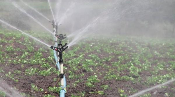 diaconescu despre controversata problema a finantarii irigatiilor prin pnrr chirieac iohannis ar trebui sa citeasca stirea aceasta