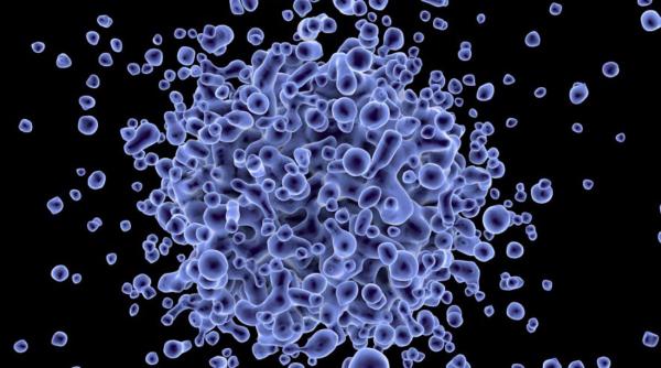 colegiul medicilor bucuresti nenumarati romani traiesc cu hepatita virala mesaj de ziua mondiala de lupta impotriva hepatitei