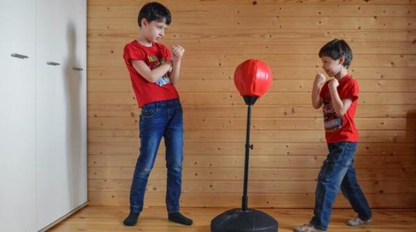 familii de olimpici 30 de perechi de frati participa la jocurile olimpice