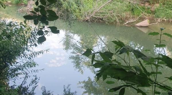 sfarsit dramatic pentru un copil de 8 ani  mama si bunicul acestuia  si au pierdut viata in motru