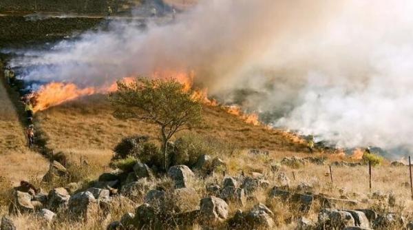 doua persoane arestate pentru incendiere voluntara in cazul incendiilor din sicilia