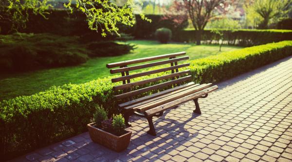 bugetul sectorului 1 pentru parcuri este exagerat florin manole este o minciuna