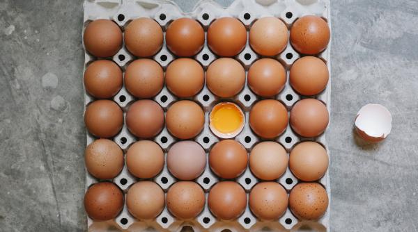 de ce sa pui ouale intr o tava pentru cuburi de gheata si sa le congelezi trucul excelent