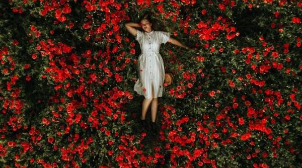 8 august 2021 esti pregatit luna noua in leu si asul din maneca exista un mesaj important pentru toate zodiile