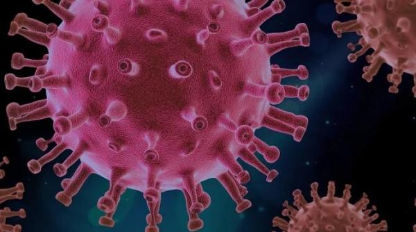 restrictii pentru nevaccinati rafila autoritatile nu au facut ceea ce a trebuit n au putut sa convinga