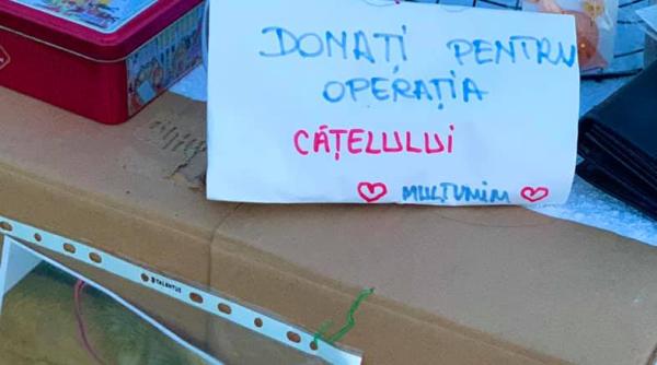 tiara vinde accesorii in vama veche pentru a si opera catelul paralizat oana zamfir operatia costa 10 mii de lei